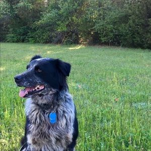 Meet your Posher, Charlotte